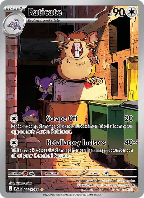 Raticate (Perfect Order)